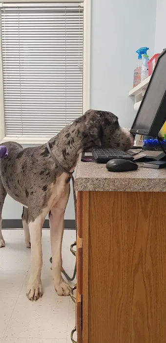 Fountain Valley Animal Hospital 12