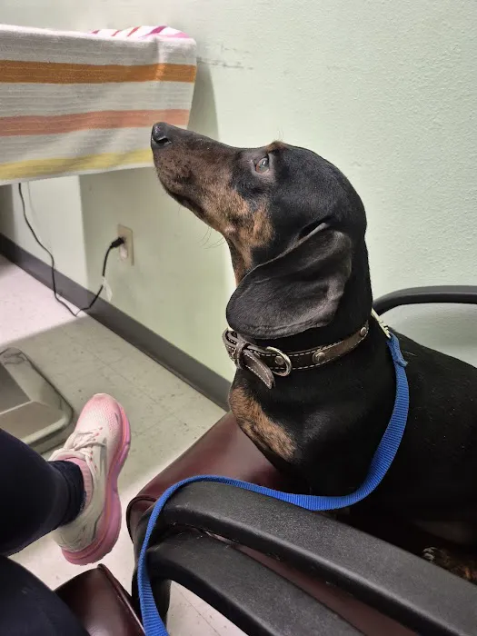 Fountain Valley Animal Hospital 12