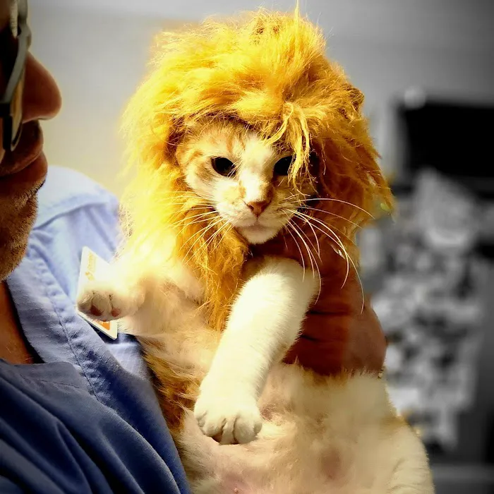 Banfield Pet Hospital 12
