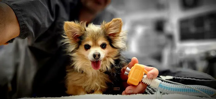 Banfield Pet Hospital 12