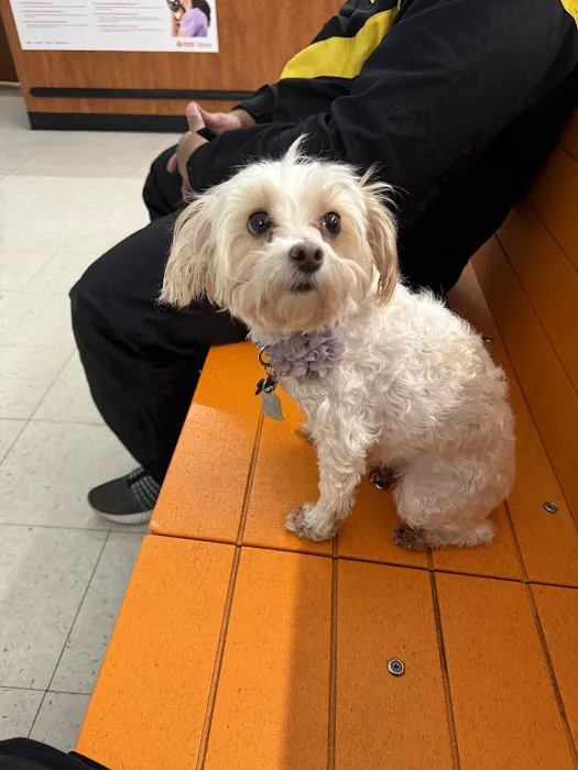 Banfield Pet Hospital 12