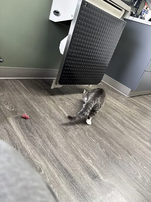 CatTails Feline Health Center 8