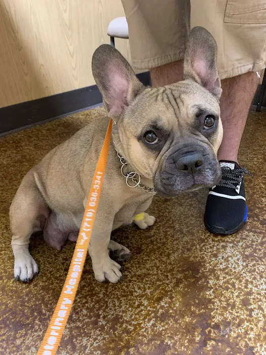 Brown Veterinary Hospital 12