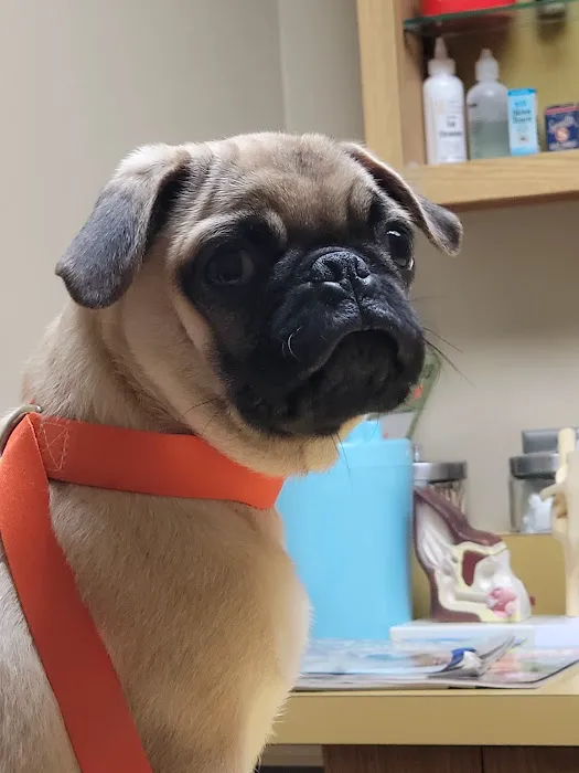 Brown Veterinary Hospital 12