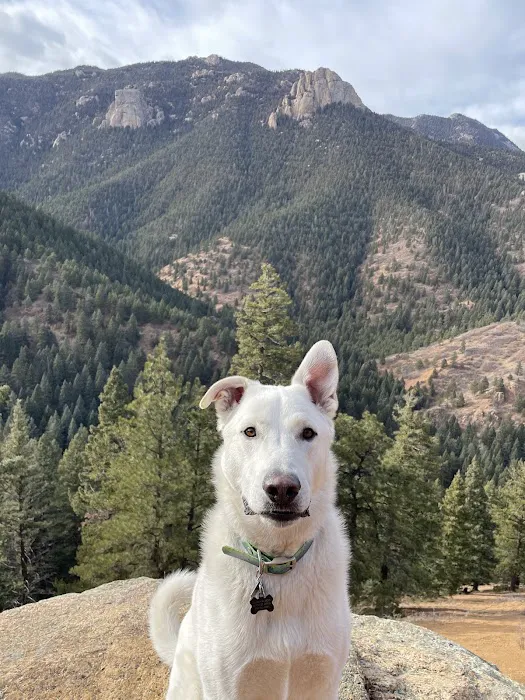 Bear Creek Veterinary Care 12