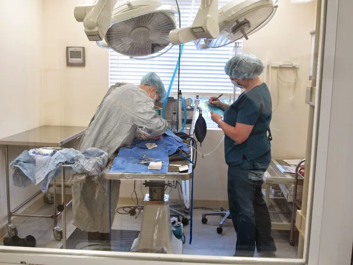 Bear Creek Veterinary Care 12