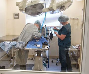 Bear Creek Veterinary Care