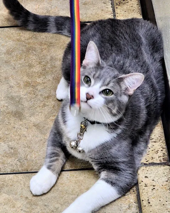 Cheyenne Mountain Animal Hospital 12