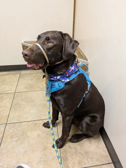 Cheyenne Mountain Animal Hospital 12