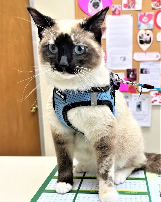 Cheyenne Mountain Animal Hospital 12
