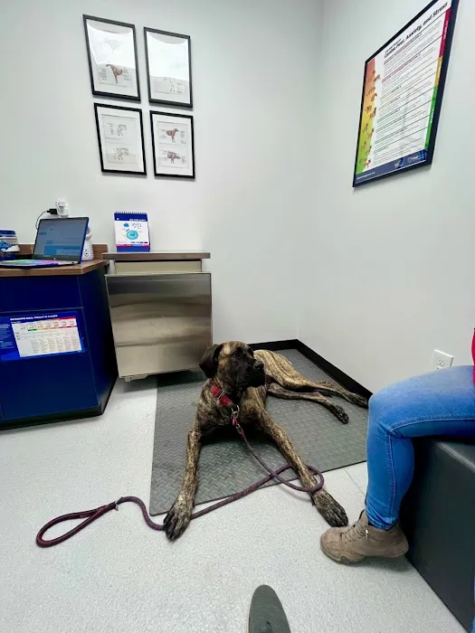 Red Rock Veterinary Health 12