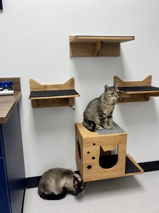 Red Rock Veterinary Health 12