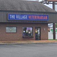 The Village Veterinarian ico