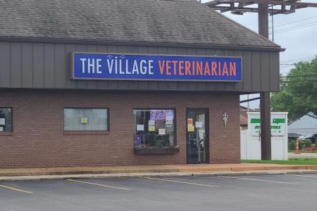 The Village Veterinarian