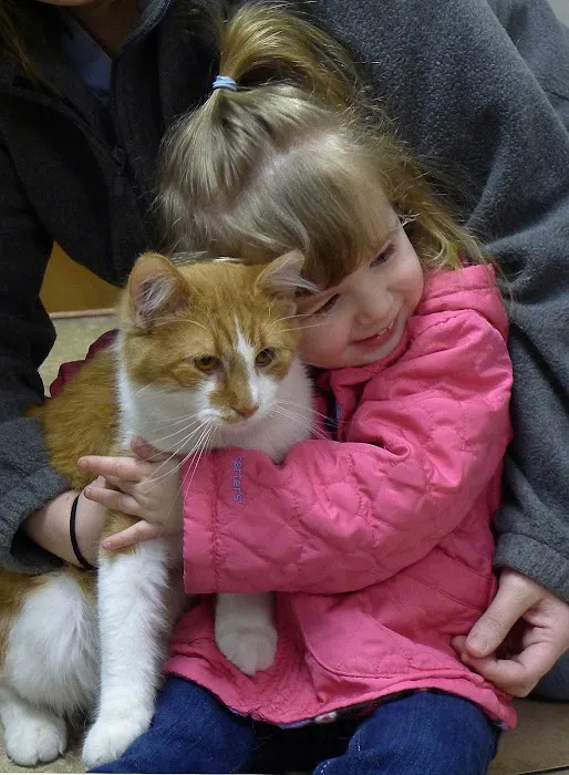The Village Veterinarian 12