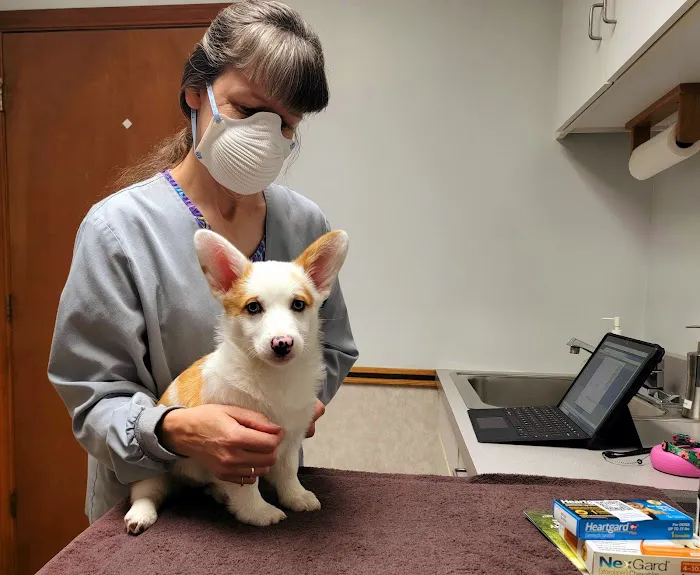 The Village Veterinarian 12