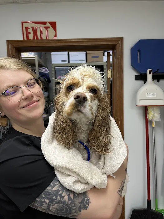 The Village Veterinarian 12