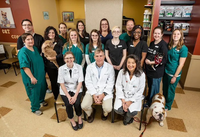 Capitol Illini Veterinary Services - Chatham 12