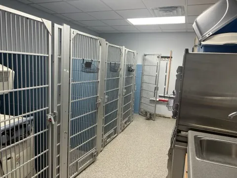 Capitol Illini Veterinary Services - Chatham 12