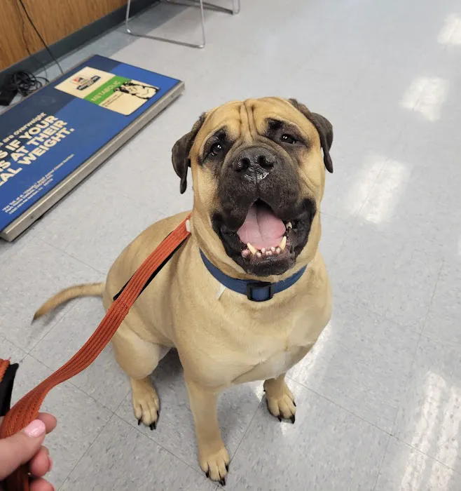 Capitol Illini Veterinary Services - Chatham 12