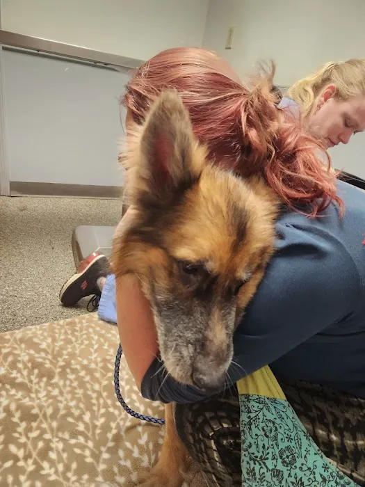 Chatham Veterinary Clinic 12