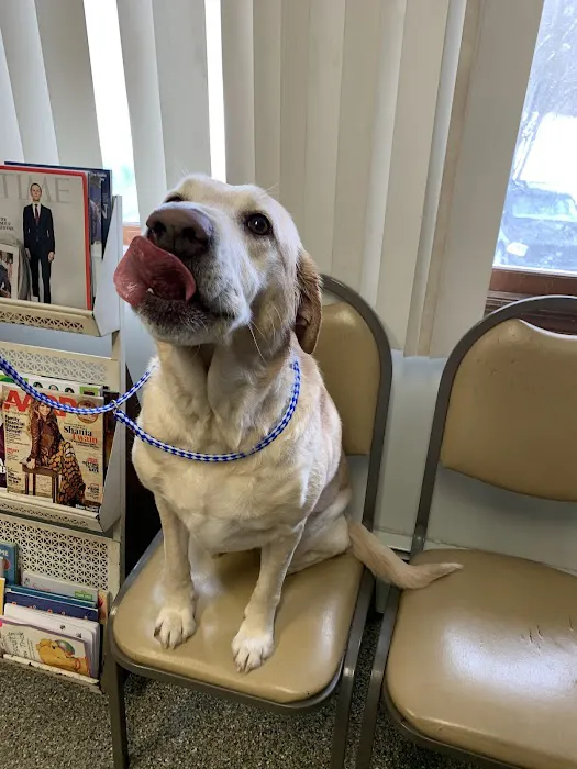 Chatham Veterinary Clinic 12