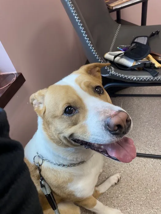 Five Star Veterinary Center 12