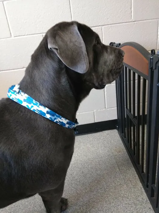 Parkway Veterinary Clinic 12