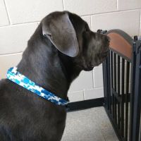 Parkway Veterinary Clinic ico