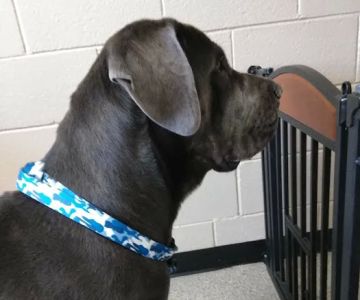 Parkway Veterinary Clinic