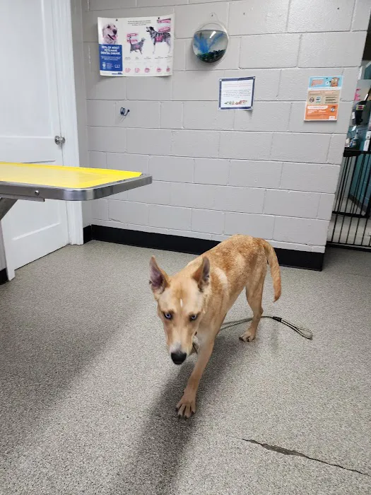 Parkway Veterinary Clinic 12