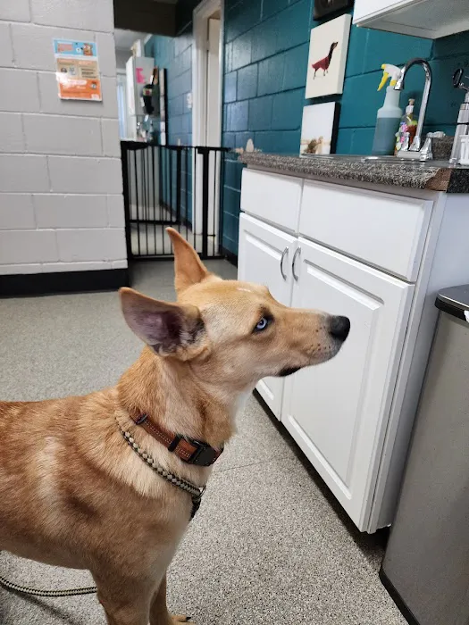 Parkway Veterinary Clinic 12