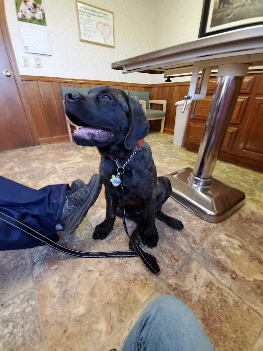 Coble Animal Hospital 12