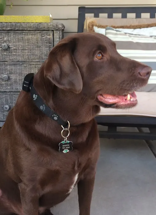 Coble Animal Hospital 12