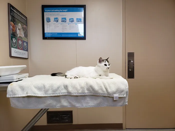 Capitol Illini Veterinary Services - Springfield 12