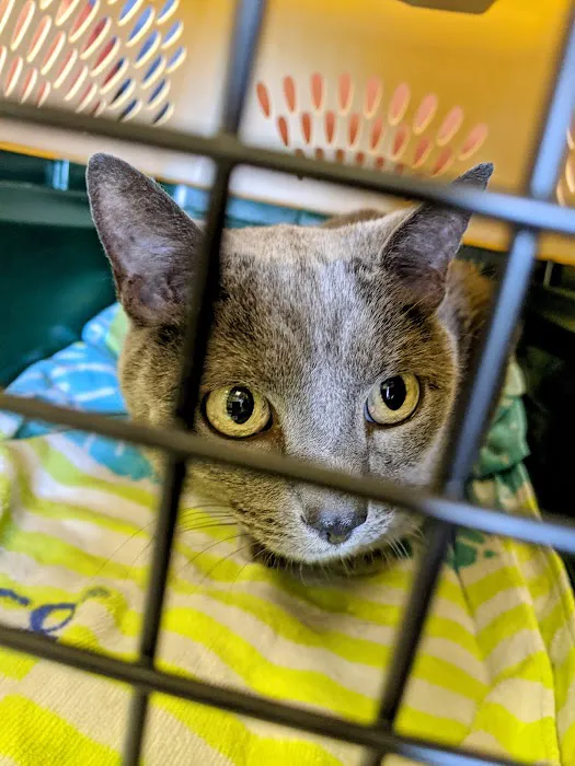 Animal Medical Clinic Of Springfield 9