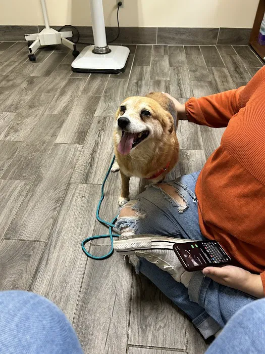 Stanford Veterinary Hospital 3
