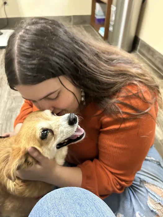 Stanford Veterinary Hospital 1