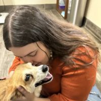 Stanford Veterinary Hospital ico