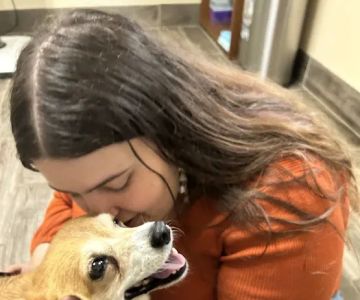 Stanford Veterinary Hospital