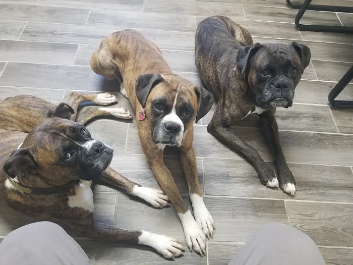 Animal Care Center 12