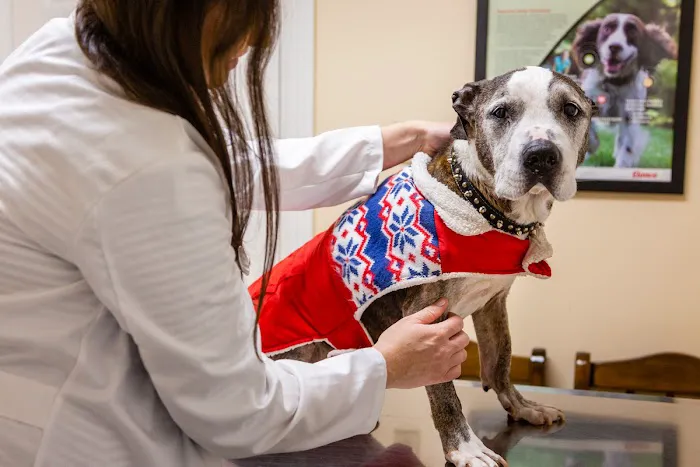 Animal Care Center 12