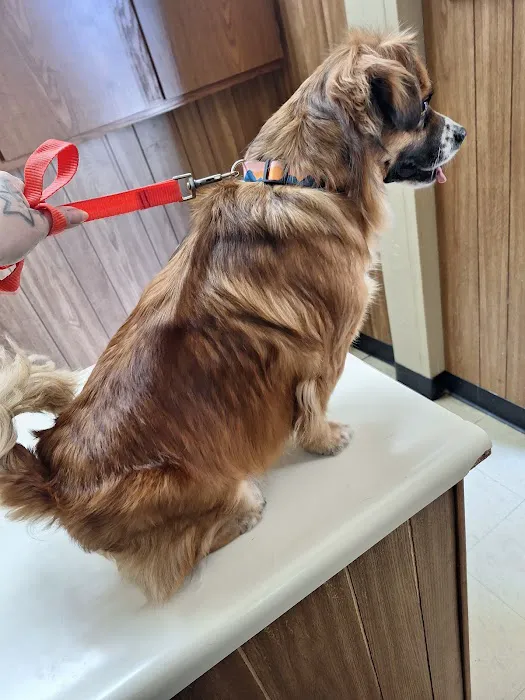 Winchester Animal Clinic 12