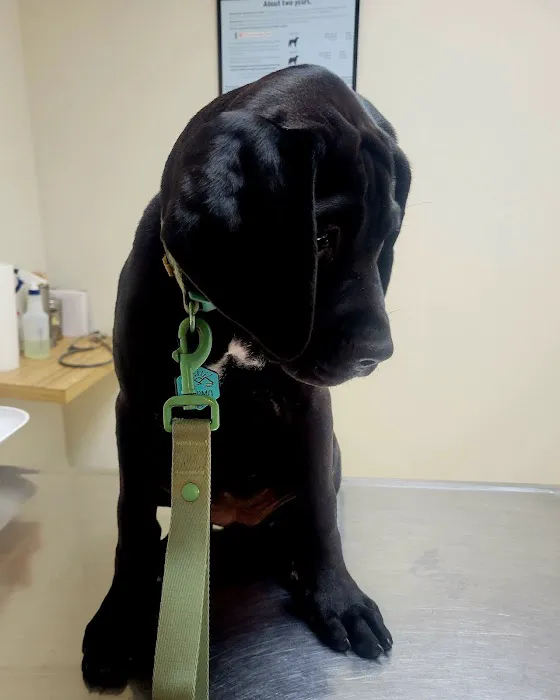 Stanton Veterinary Clinic 6