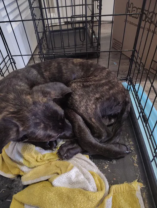Boonesboro Animal Clinic 12