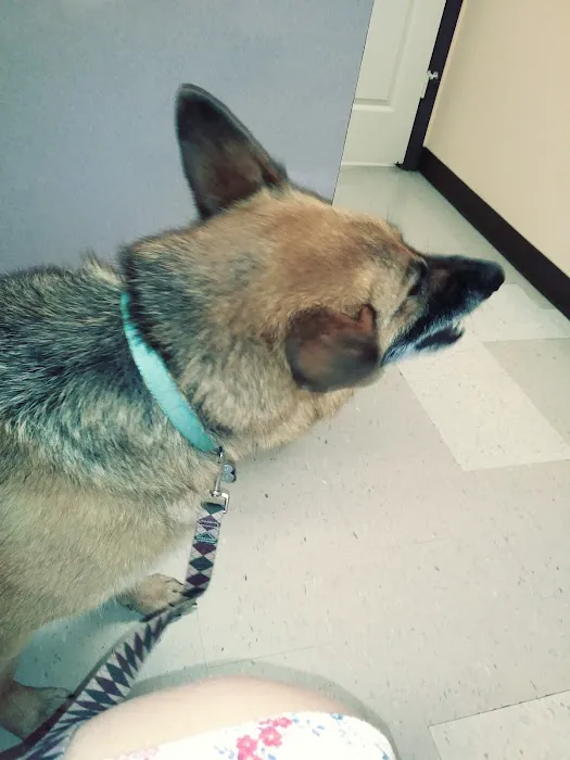 Clark County Veterinary Clinic 12