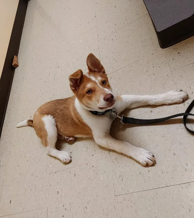 Clark County Veterinary Clinic 12