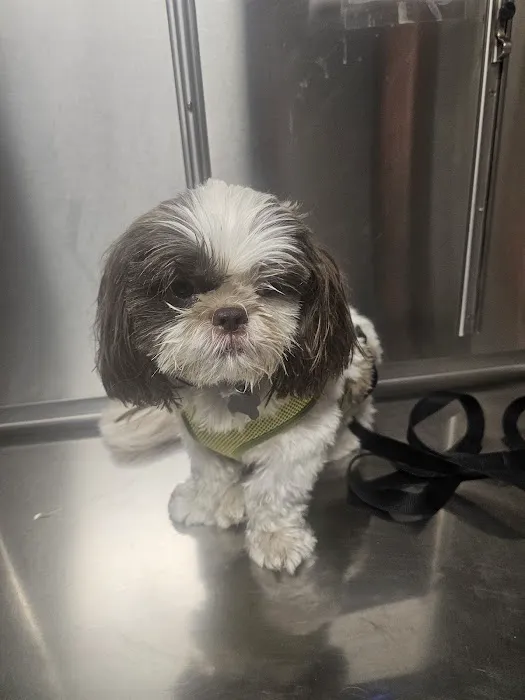 Kingston Veterinary Hospital 12