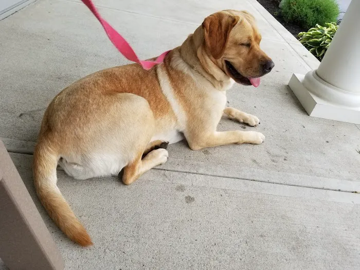 Kingston Veterinary Hospital 12