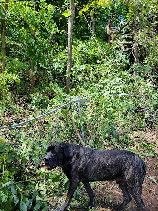 Brookhill Animal Clinic 12
